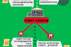 6_Структура-Совета-улемов