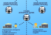 Мусульманская община в инфографике