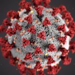 rsz_cdc-w9keokhajkw-unsplash_1