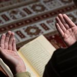 377671-INNERRESIZED600-700-IMG_7897-1